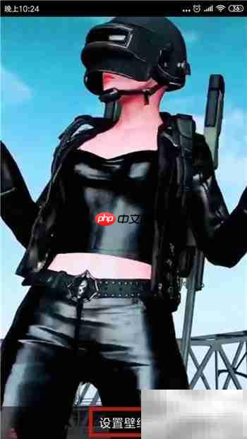 精灵壁纸设置动态锁屏教程