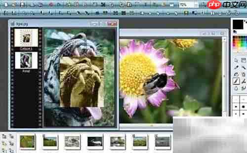 免费图片编辑软件推荐