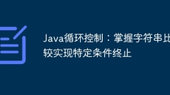 Java loop control: master string comparison to achieve specific condition termination