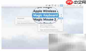 Magic Keyboard连接Mac指南