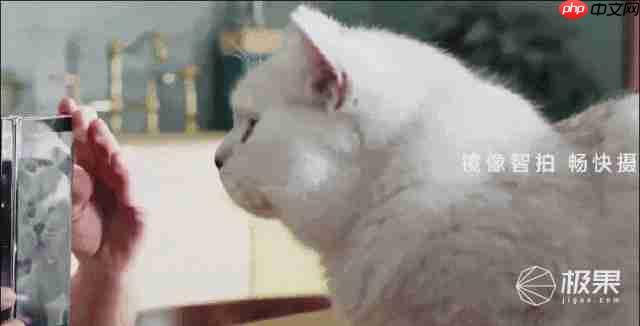 华为三折叠屏新机又放大招!带外折薄过直板机、主摄自拍 + 手势切屏体验拉满 .