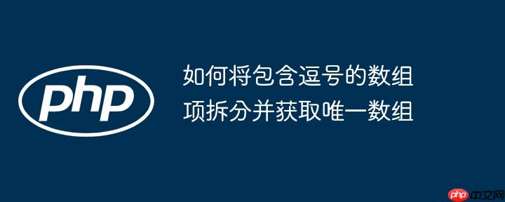 如何将包含逗号的数组项拆分并获取唯一数组