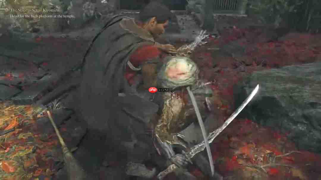 《鬼武者：剑之道》新实机演示 战斗画面和Boss战