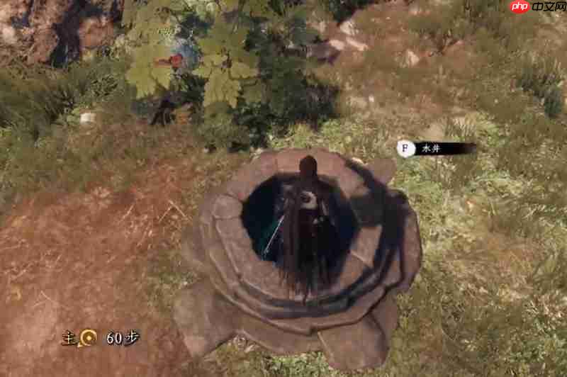 下一站江湖2水井任务怎么玩 水井秘境探索详细攻略