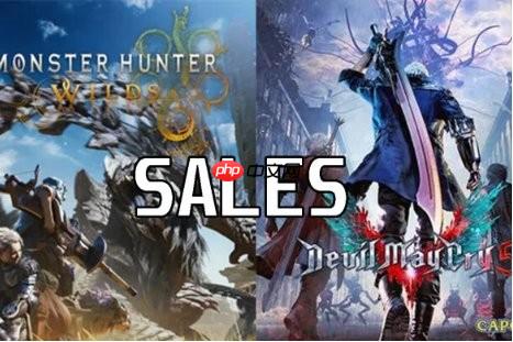 《荒野》销量未达到卡普空预期 《鬼泣》系列因动画销量上涨