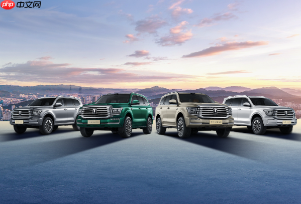 全新坦克500上市 售33.5万起 零百4.3秒 支持高阶智驾