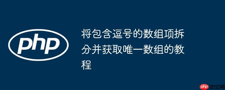 将包含逗号的数组项拆分并获取唯一数组的教程