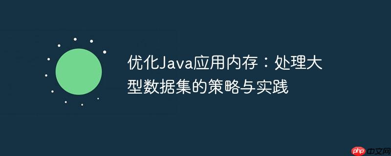 优化Java应用内存：处理大型数据集的策略与实践-小浪学习网