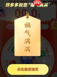 拼多多40元最后一步是什么样的界面