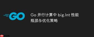 Go 并行计算中 big.Int 性能瓶颈与优化策略