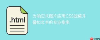 为响应式图片应用CSS滤镜并叠加文本的专业指南