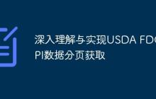 深入理解与实现USDA FDC API数据分页获取