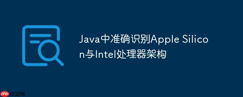 Java中准确识别Apple Silicon与Intel处理器架构-小浪学习网