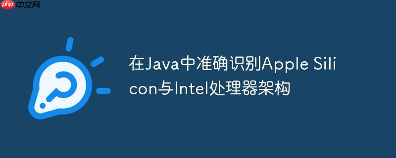 在Java中准确识别Apple Silicon与Intel处理器架构