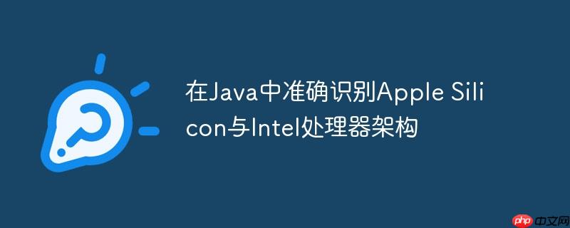 在Java中准确识别Apple Silicon与Intel处理器架构-小浪学习网