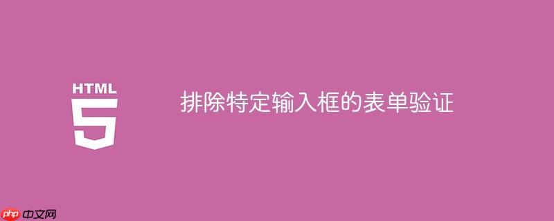 排除特定输入框的表单验证-小浪学习网
