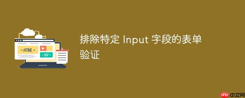 排除特定 Input 字段的表单验证-小浪学习网