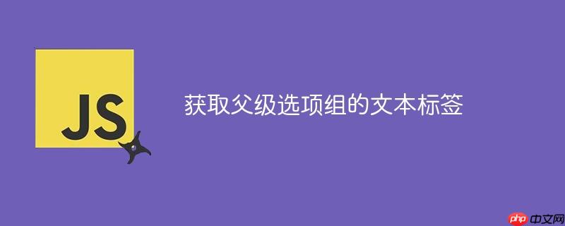 获取父级选项组的文本标签-小浪学习网