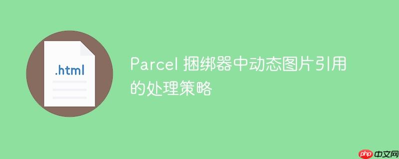 Parcel 捆绑器中动态图片引用的处理策略