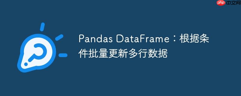 Pandas DataFrame：根据条件批量更新多行数据-小浪学习网