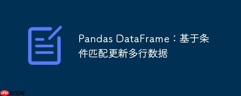 Pandas DataFrame：基于条件匹配更新多行数据-小浪学习网