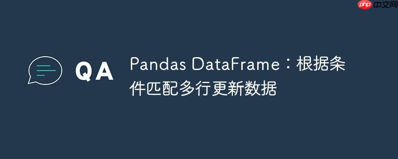 Pandas DataFrame：根据条件匹配多行更新数据-小浪学习网