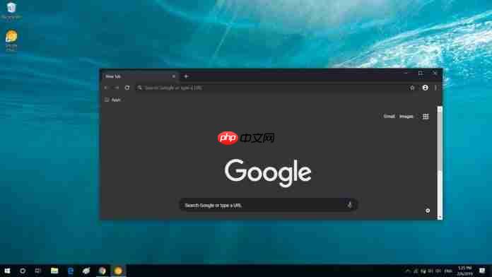 win10系统强制启用Chrome 74 Dark主题的方法-小浪学习网