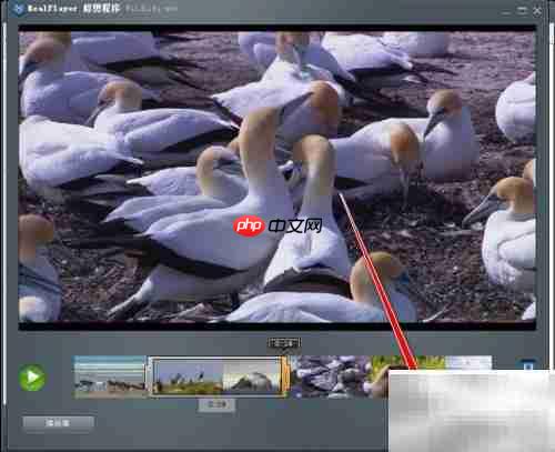 RealPlayer视频剪辑教程