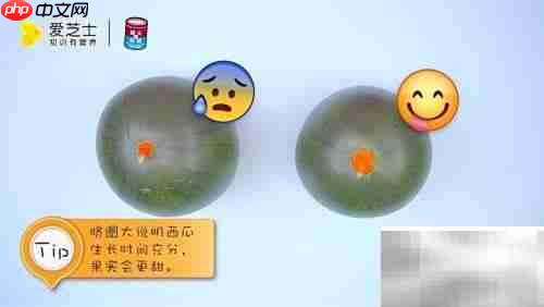 如何挑选甜西瓜