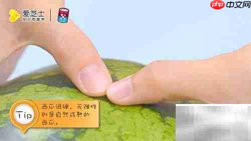 如何挑选甜西瓜