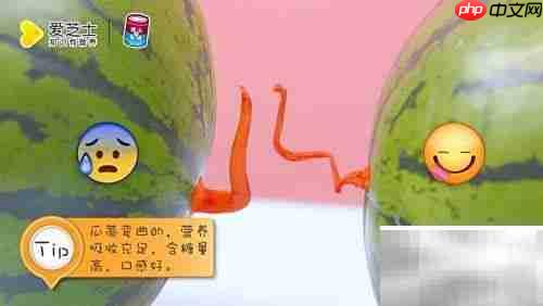 如何挑选甜西瓜