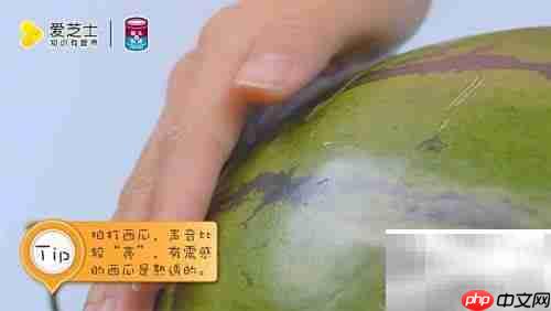 如何挑选甜西瓜