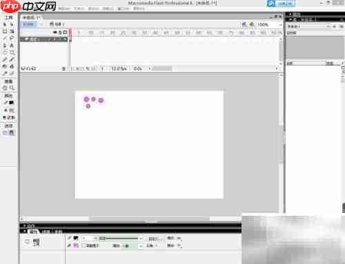 Flash使用入门指南