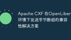 OpenLiberty ???? ??? ???? ?????? Apache CXF ??? ???