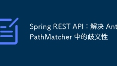 Spring Rest API : Antpathmatcher? ??? ??