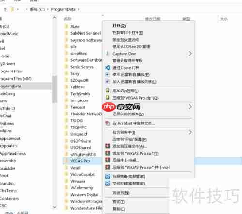 Vegas Pro 18安装失败解决