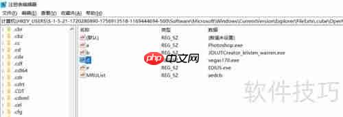 Vegas Pro 18安装失败解决