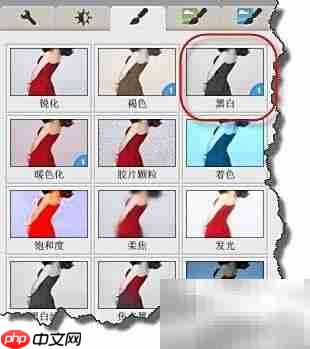 Picasa黑白照片转换技巧