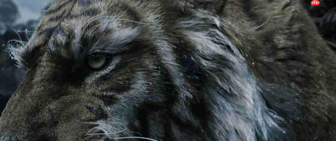 央视农业发《黑神话：钟馗》介绍视频：让世界认识新IP