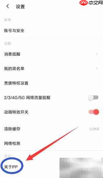 如何为PP手机软件评分