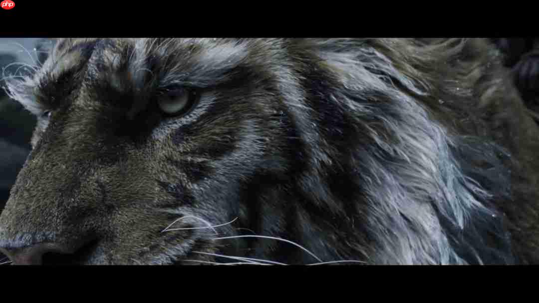 游科最新作！《黑神话：钟馗》亮相科隆展