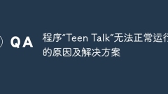 程序'Teen Talk”無法正常運行的原因及解決方案