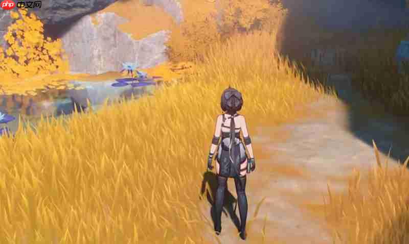 鸣潮怎么快速刷声骸经验 鸣潮声骸经验获取方法