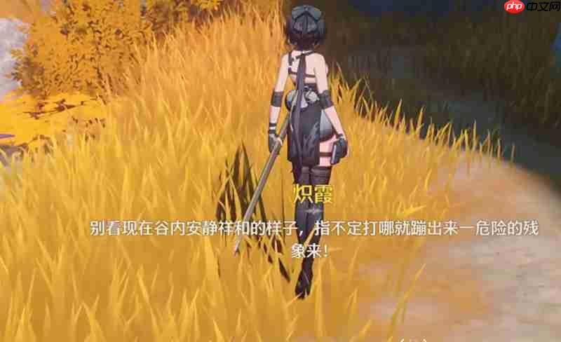 鸣潮怎么快速刷声骸经验 鸣潮声骸经验获取方法