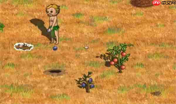 村落人生不同区域资源分配一览