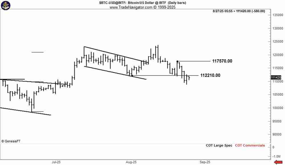 解读比特币(BTC)无视新“OG”巨鲸抛售,价格升至113,000美元