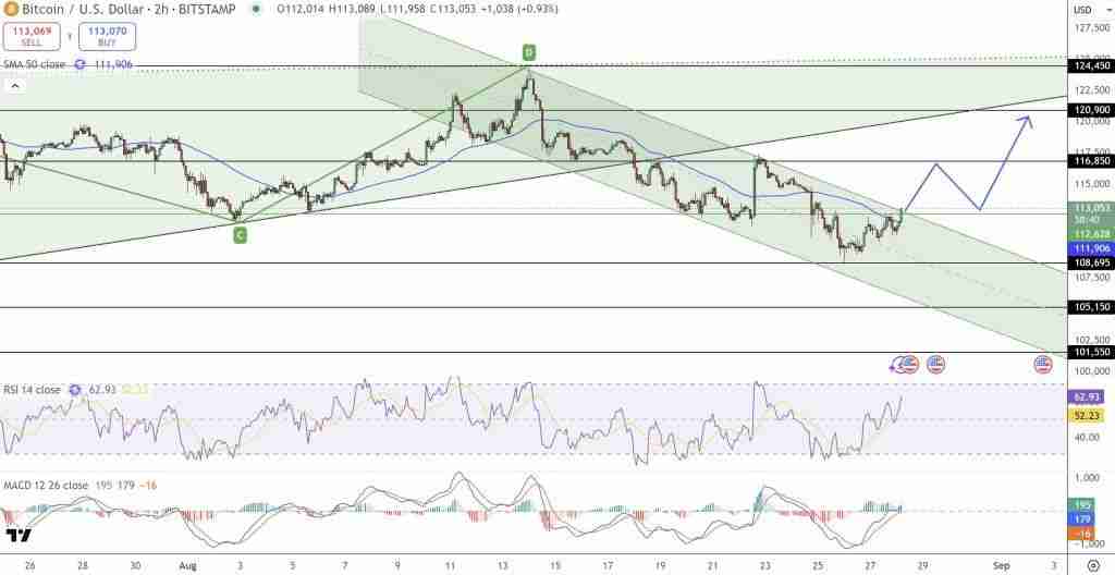比特币价格预测：2.19 亿美元资金涌入比特币 ETF！机构悄然备战冲刺100万美元