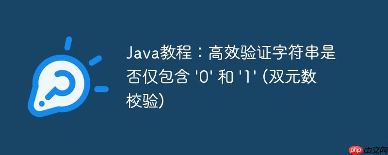 Java教程：高效验证字符串是否仅包含 '0' 和 '1' (双元数校验)
