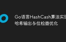 Go语言HashCash算法实现:哈希输出与位检查优化