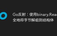 Go反射:使用binary.Read安全地将字节解组到结构体